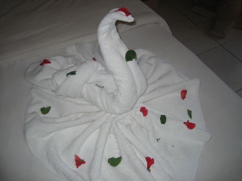 Bett Ghazala Gardens