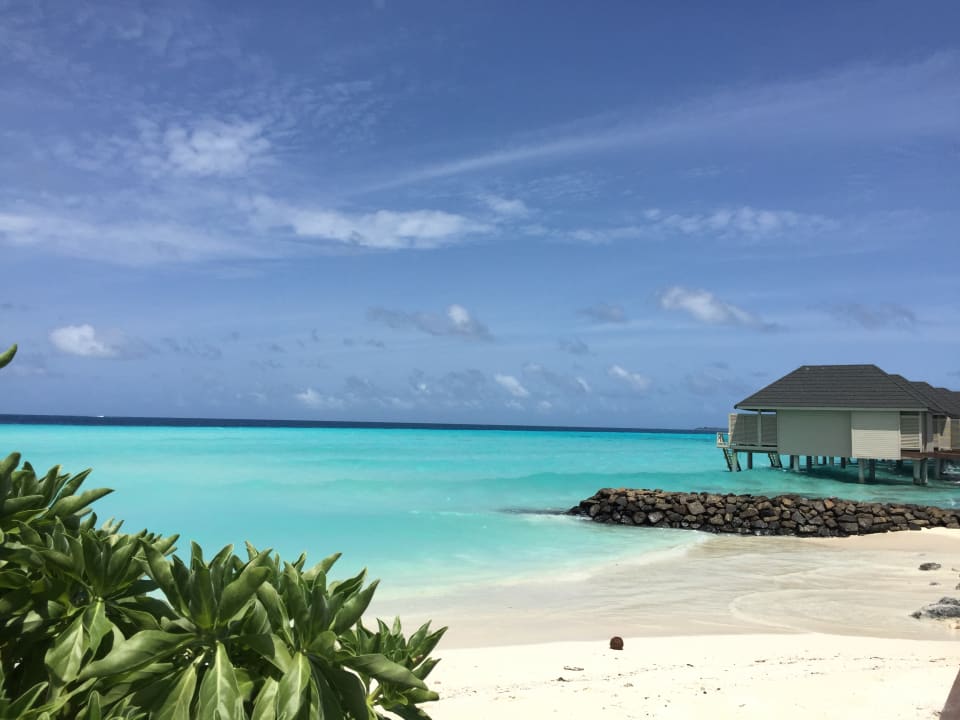 Strand Summer Island Maldives