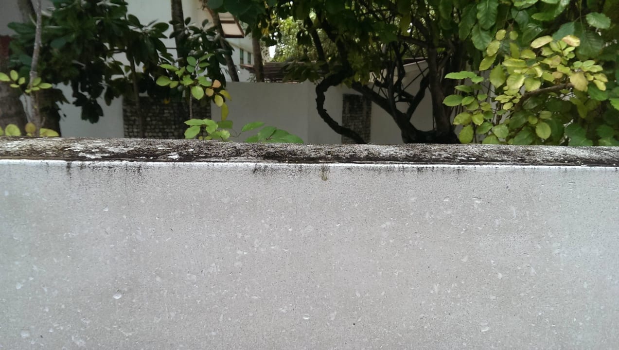 Bad ananea Diamonds Athuruga