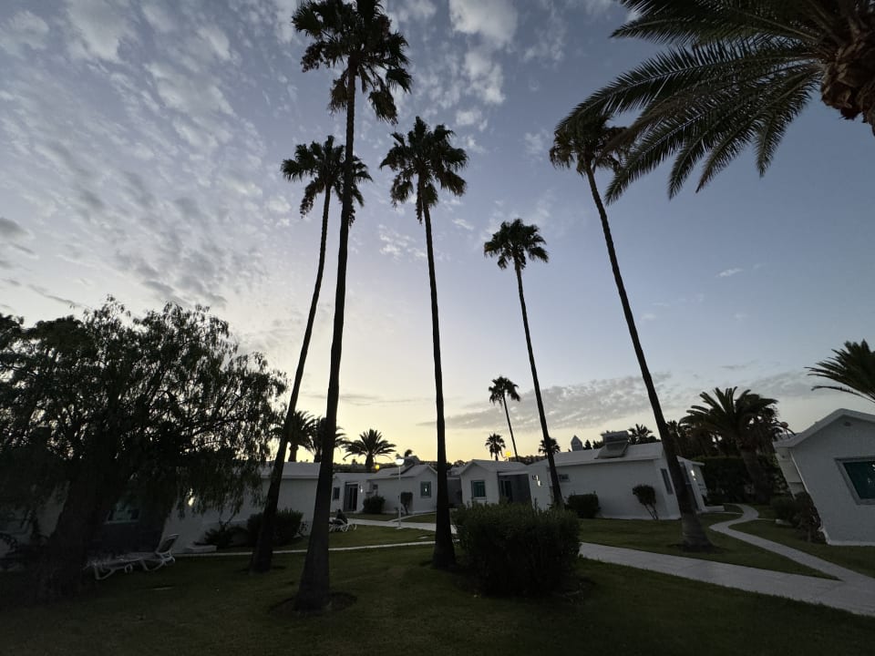 Gartenanlage Canary Garden Club