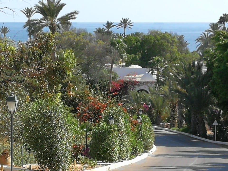 Gartenanlage Hotel Sangho Club Zarzis