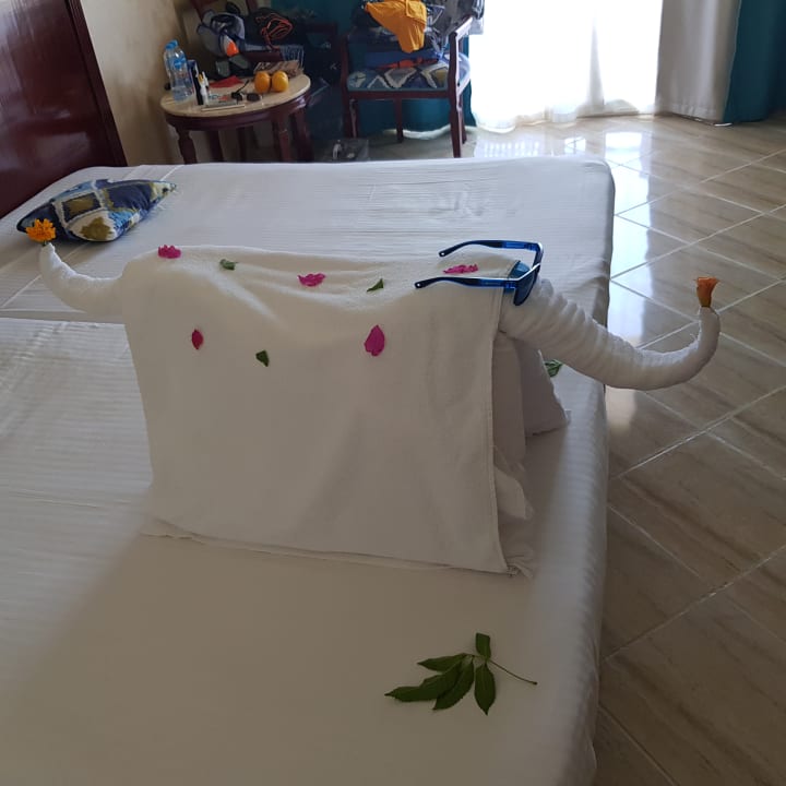 Zimmer Malikia Resort Abu Dabbab