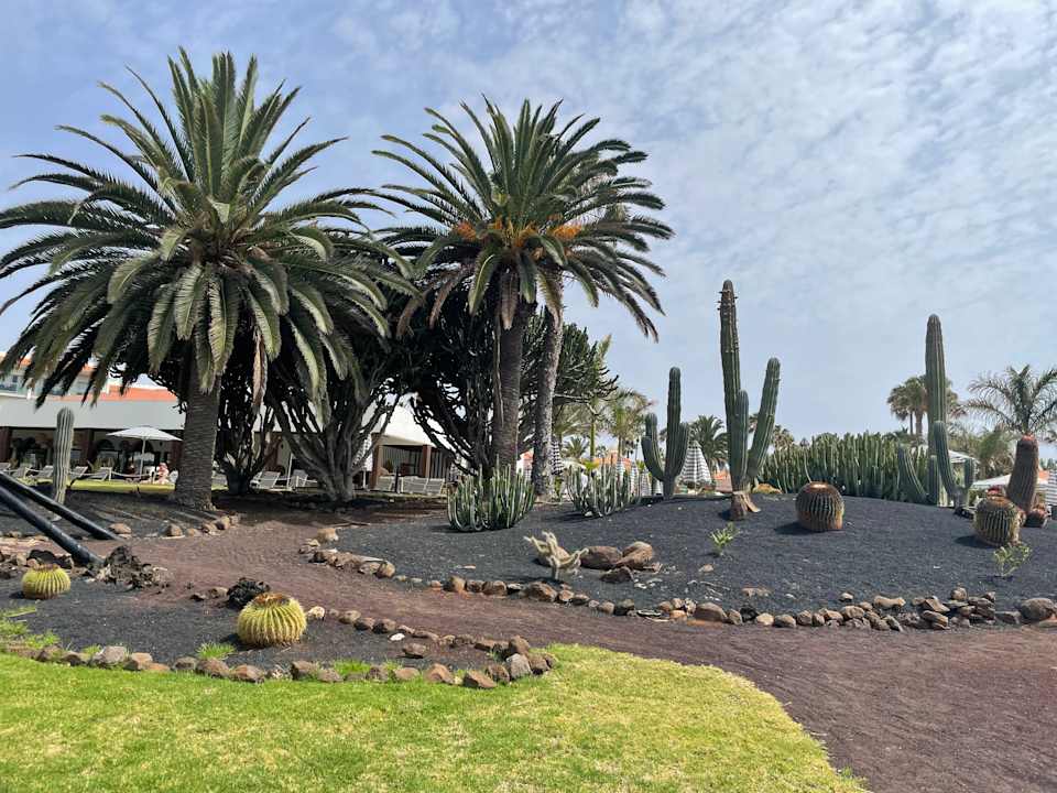Gartenanlage Barceló Fuerteventura Mar