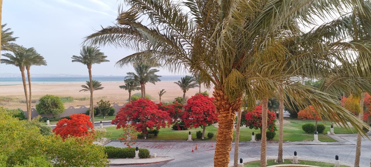 Ausblick Makadi Palace