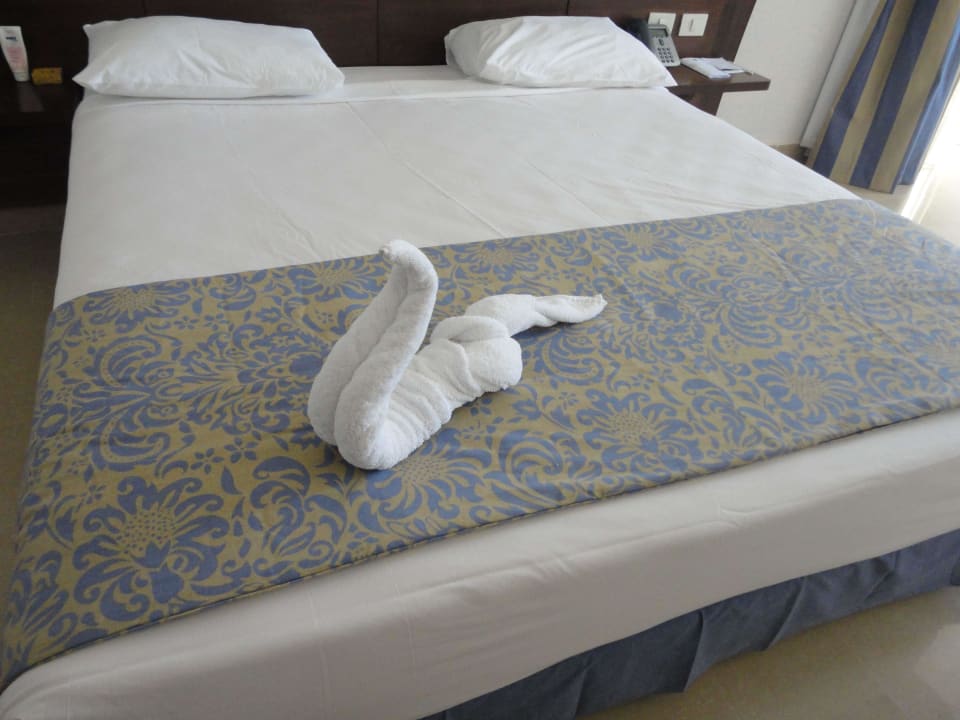 Лебедь Stella Garden Resort & Spa, Makadi Bay