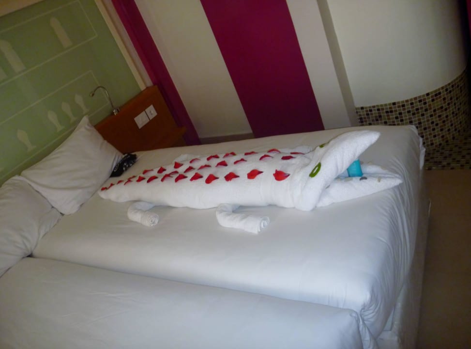 Krokodil auf dem Bett Hotel Mercure Hurghada
