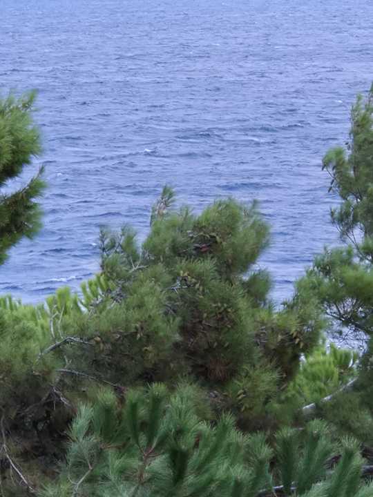 Ausblick Valamar Sanfior Hotel & Casa