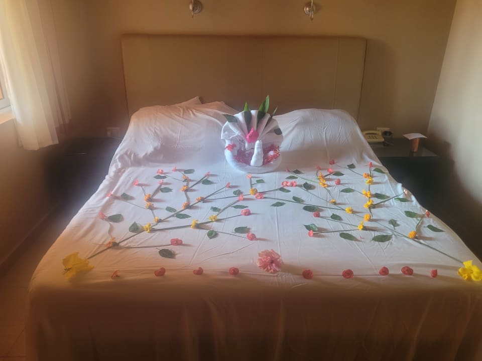 Zimmer Jaz Makadi Oasis Resort