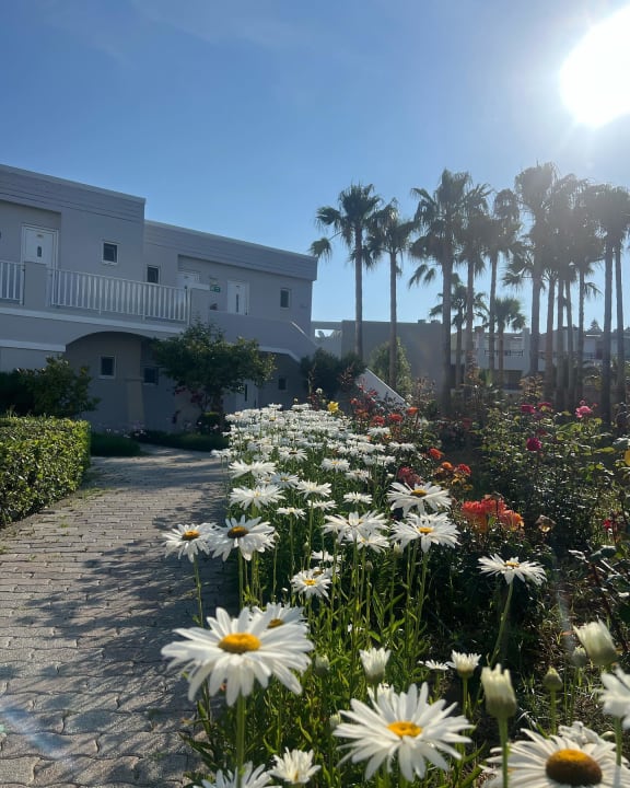 Gartenanlage Delfina Tropic Beach