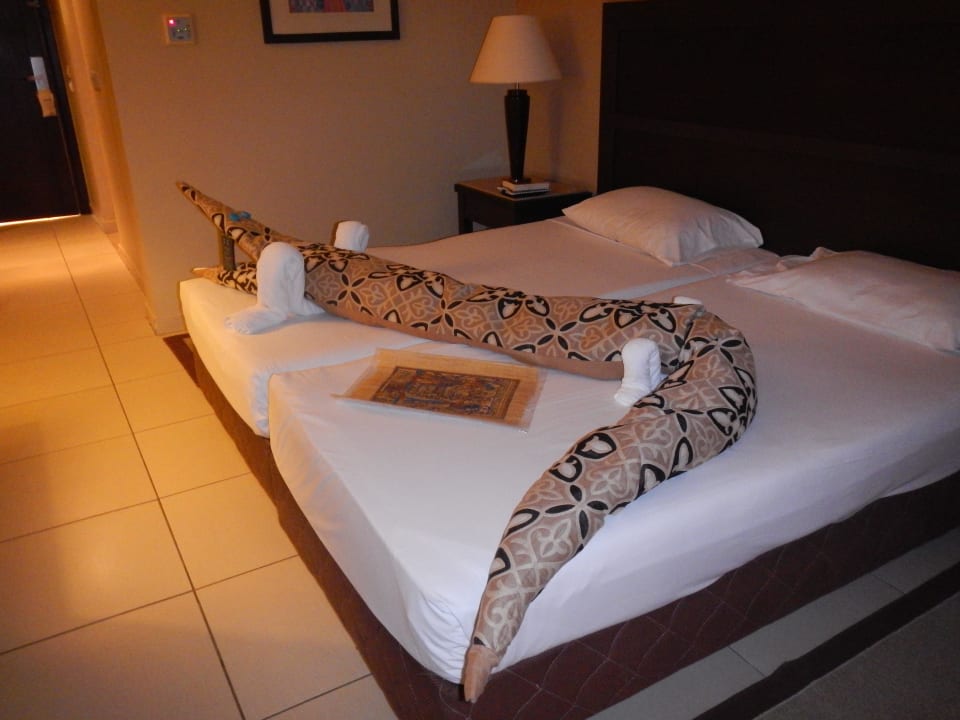 Vorsicht, Krokodil am Zimmer Jaz Dar EL Madina