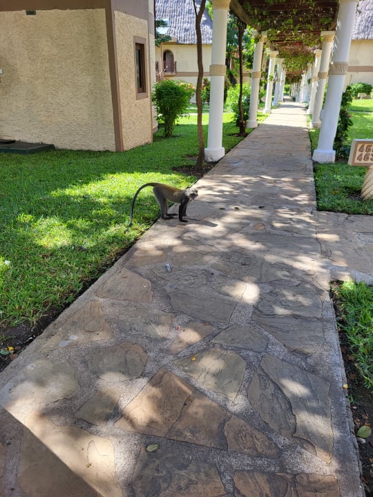 Gartenanlage Neptune Village Beach Resort & Spa