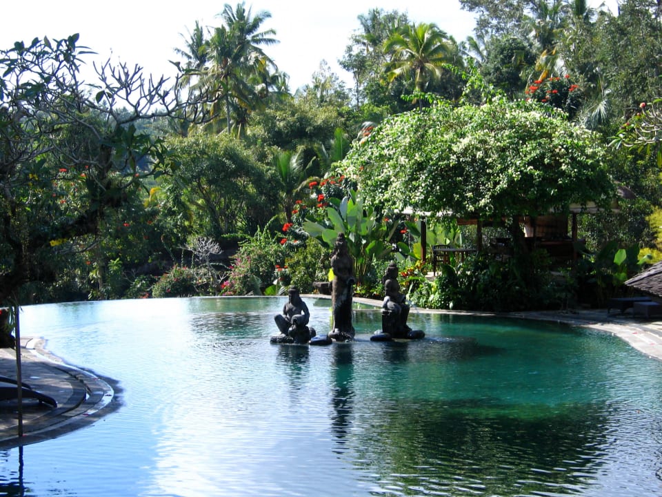 Gemeinschaftspool The Payogan Villa Resort & Spa