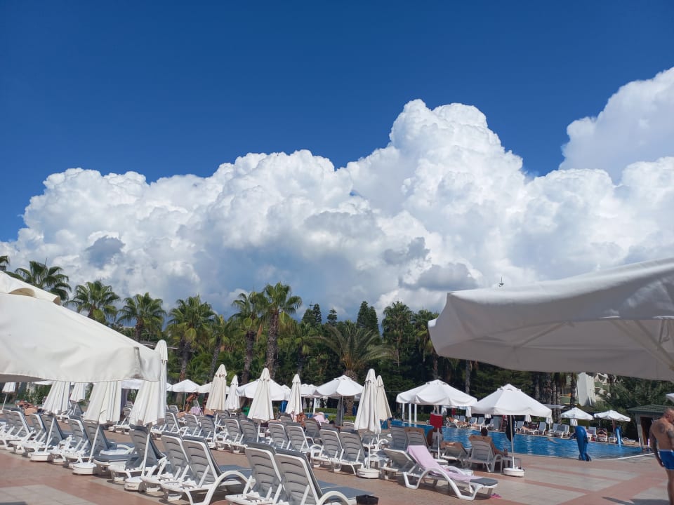 Pool Hotel Botanik Platinum