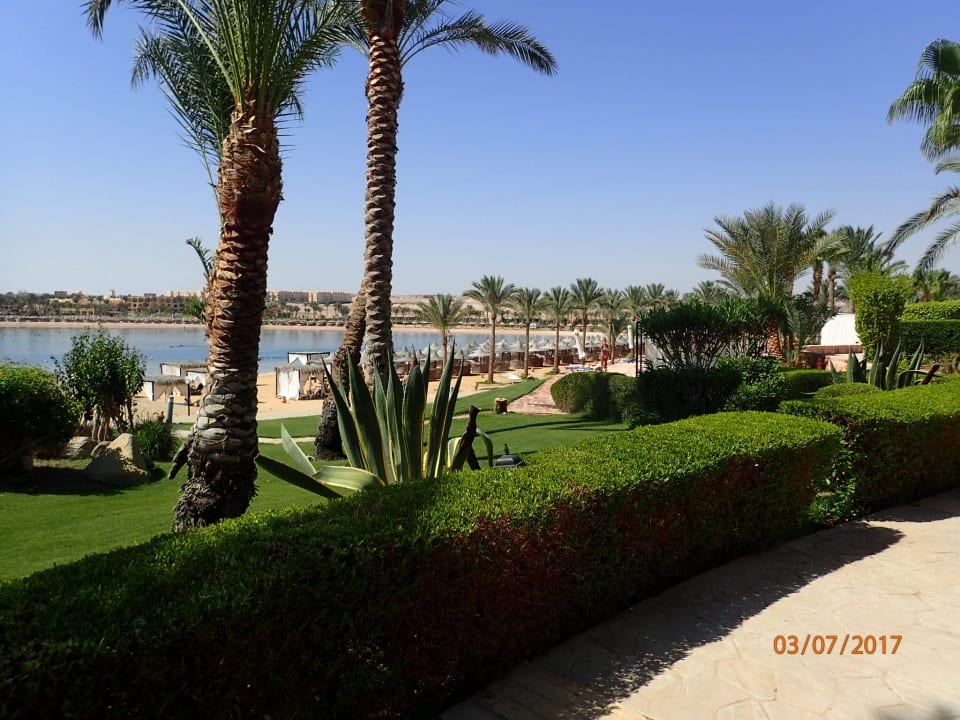 Gartenanlage Steigenberger Coraya Beach - Adults only