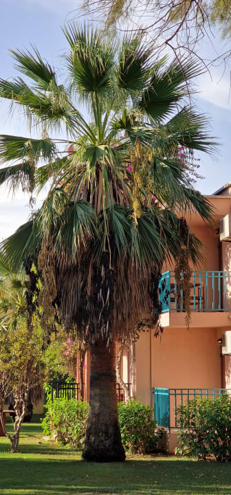 Gartenanlage VONRESORT Golden Beach