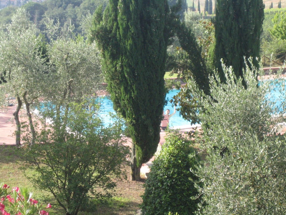 Fattoria di Argiano Hotel Fattoria di Argiano