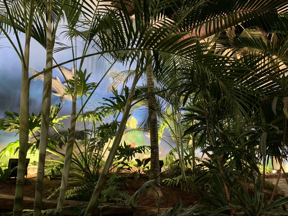 Sonstiges HOVIMA La Pinta Beachfront Family Hotel