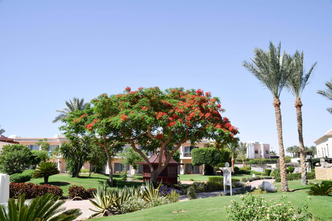  Selbsterklärend Parrotel Beach Resort