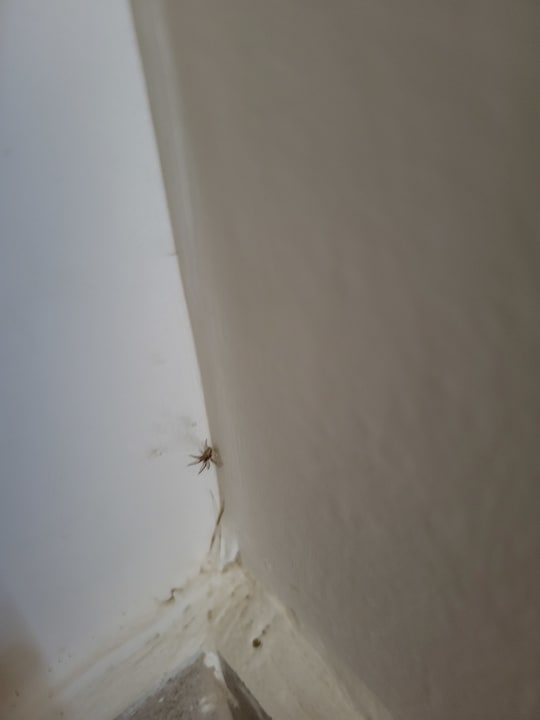 Sonstiges Paralos Kyma Dunes