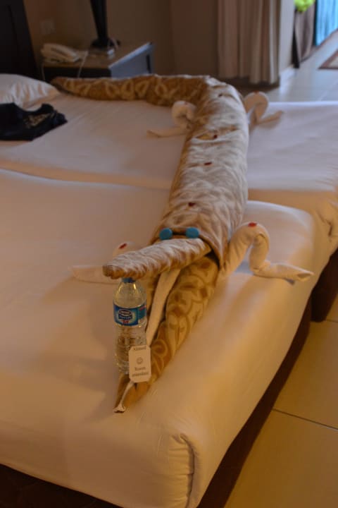 Täglich eine Überraschung Jaz Dar EL Madina