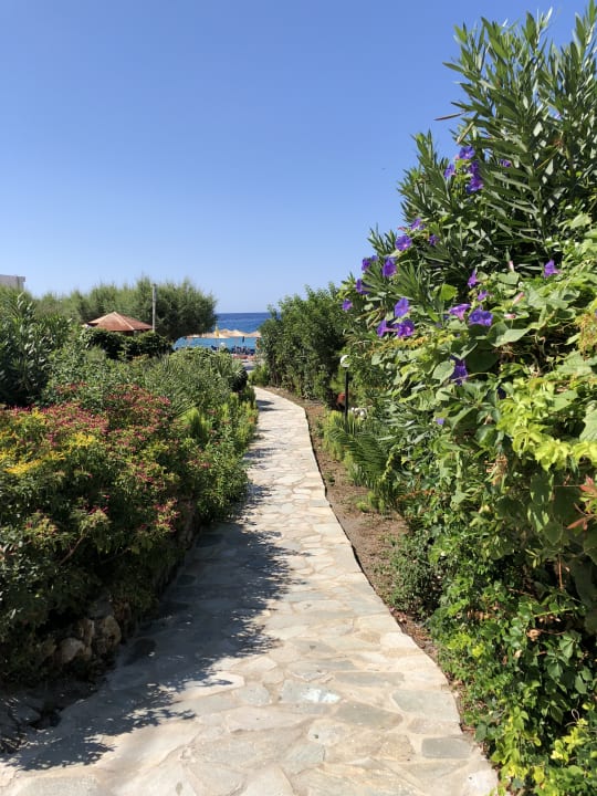 Gartenanlage Hotel South Coast