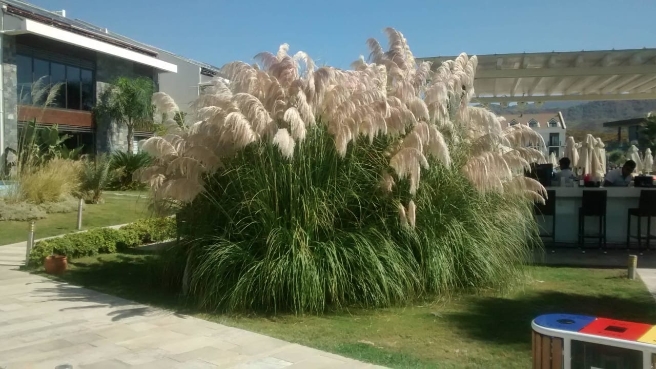 Herrlich Jiva Beach Resort