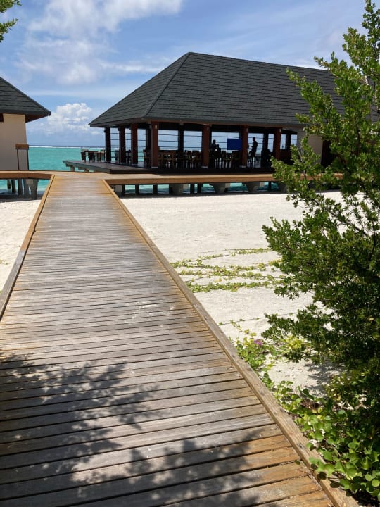 Gastro Summer Island Maldives