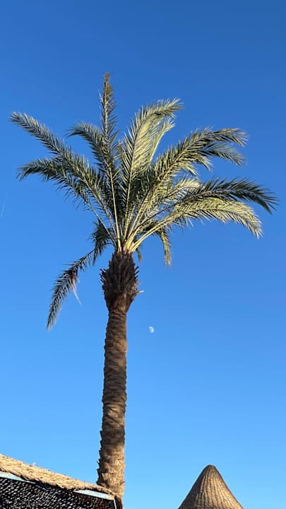 Strand Marlin Inn Azur Resort