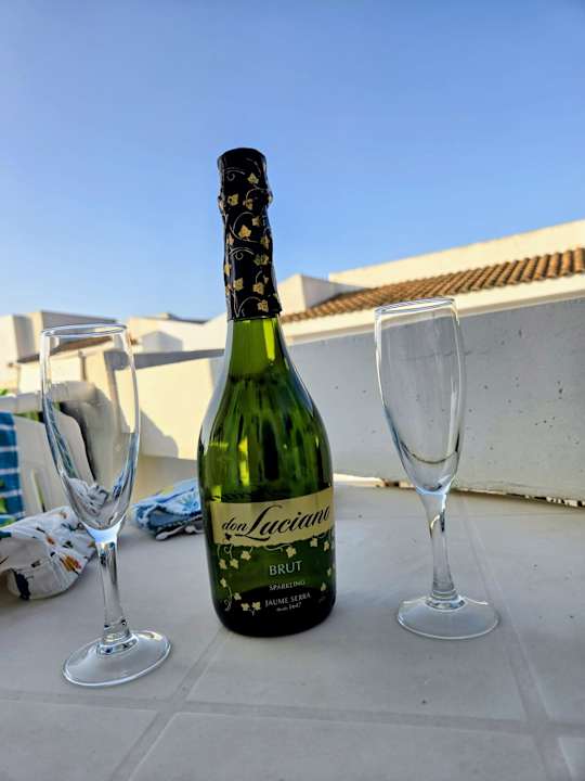 Zimmer blau punta reina