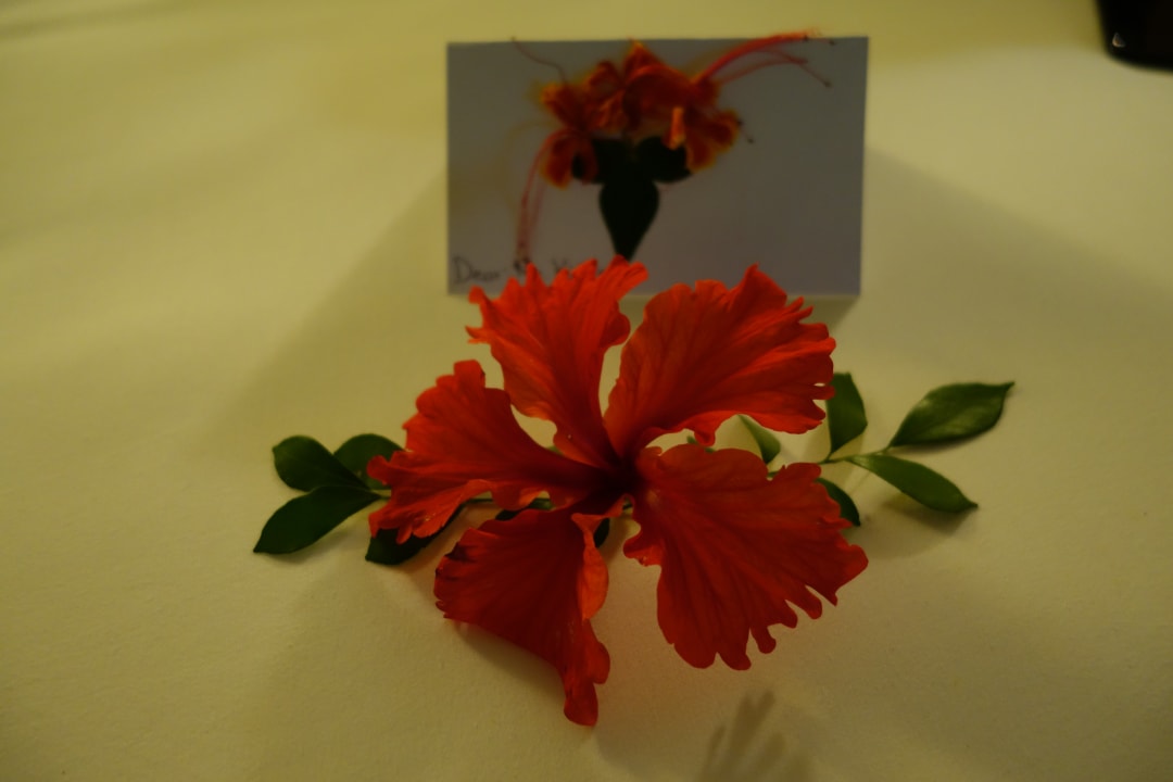 Zimmer Hotel Hacienda Santa Rosa