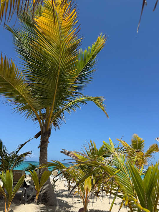 Strand Hotel Riu Palace Macao - Adults only