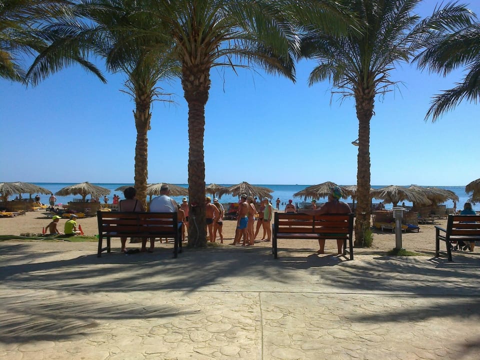 Blick von der 1. Beachbar auf den Strand Sentido Caribbean World Soma Bay