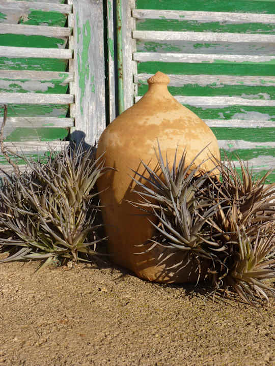 Gartenanlage Finca el Retiro