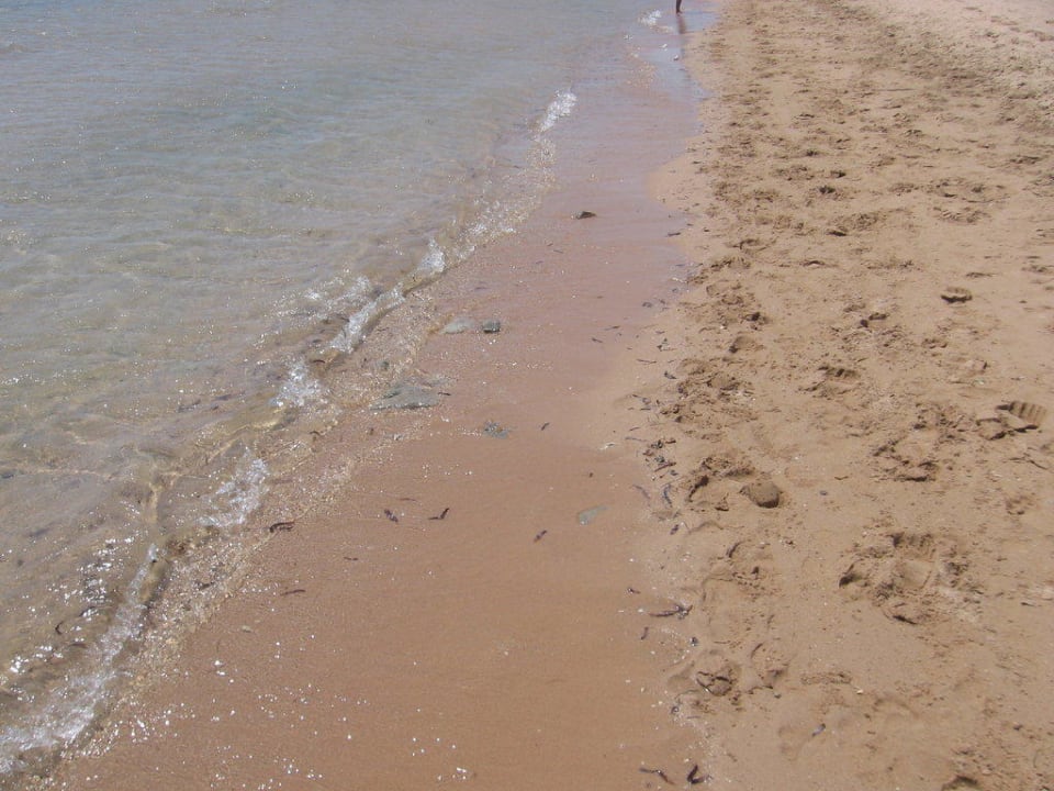 Moře a pláž Imperial Shams Abu Soma