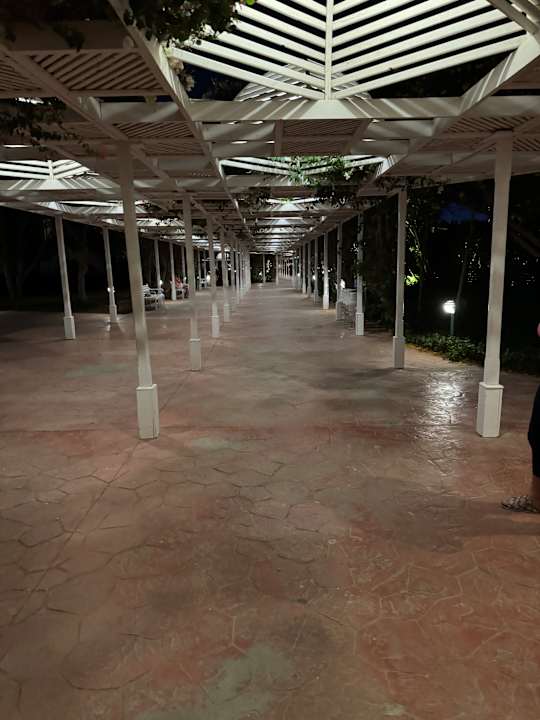 Außenansicht Desert Rose