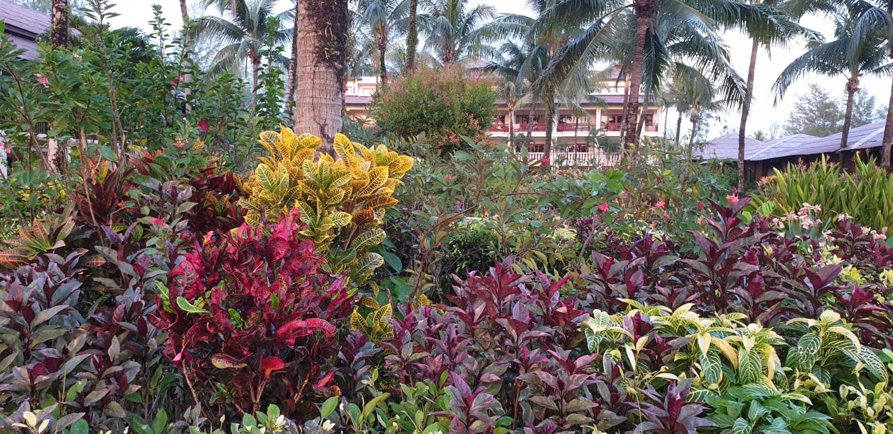 Gartenanlage The Andamania Beach Resort & Spa