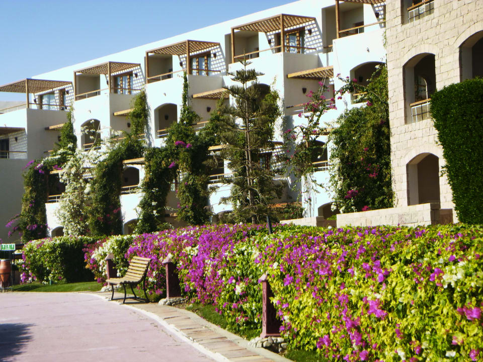 Außenansicht Fort Arabesque Resort, Spa & Villas