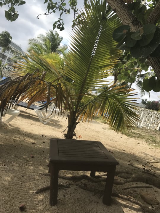 Strand Hotel Grand Palladium Lady Hamilton Resort & Spa