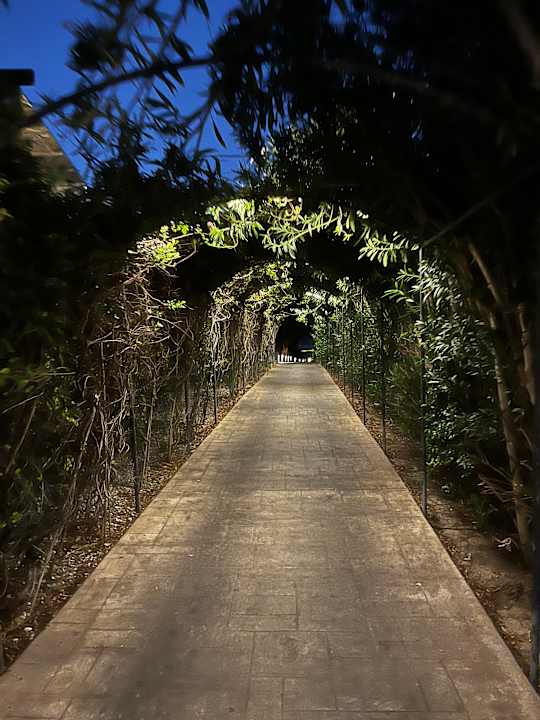 Gartenanlage Atlantica Aegean Blue