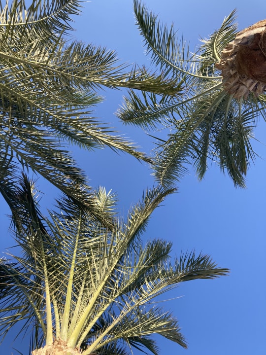 Sonstiges Sentido Akassia Beach