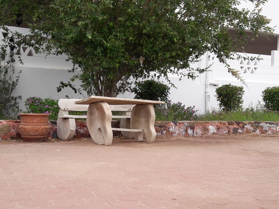 Sonstiges Three Corners Equinox Beach Resort