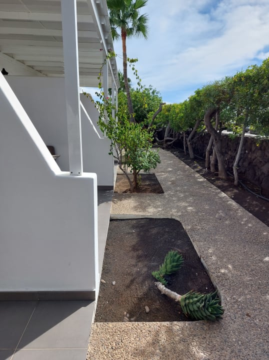 Gartenanlage Hotel Hyde Park Lane