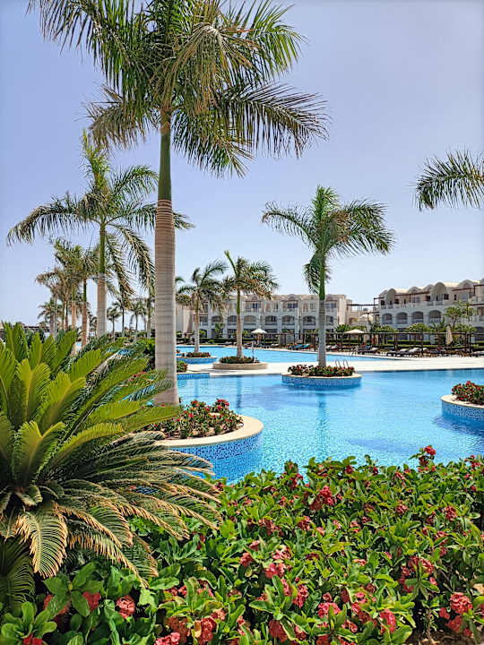 Pool Steigenberger Resort Alaya Marsa Alam - Red Sea - Adults only