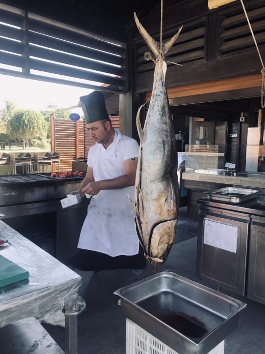 Gastro Sunis Evren Beach Resort Hotel & Spa