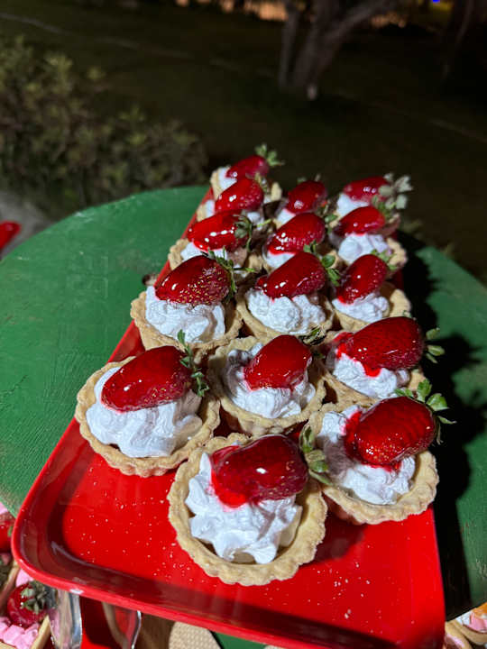 Gastro Dream Fun World