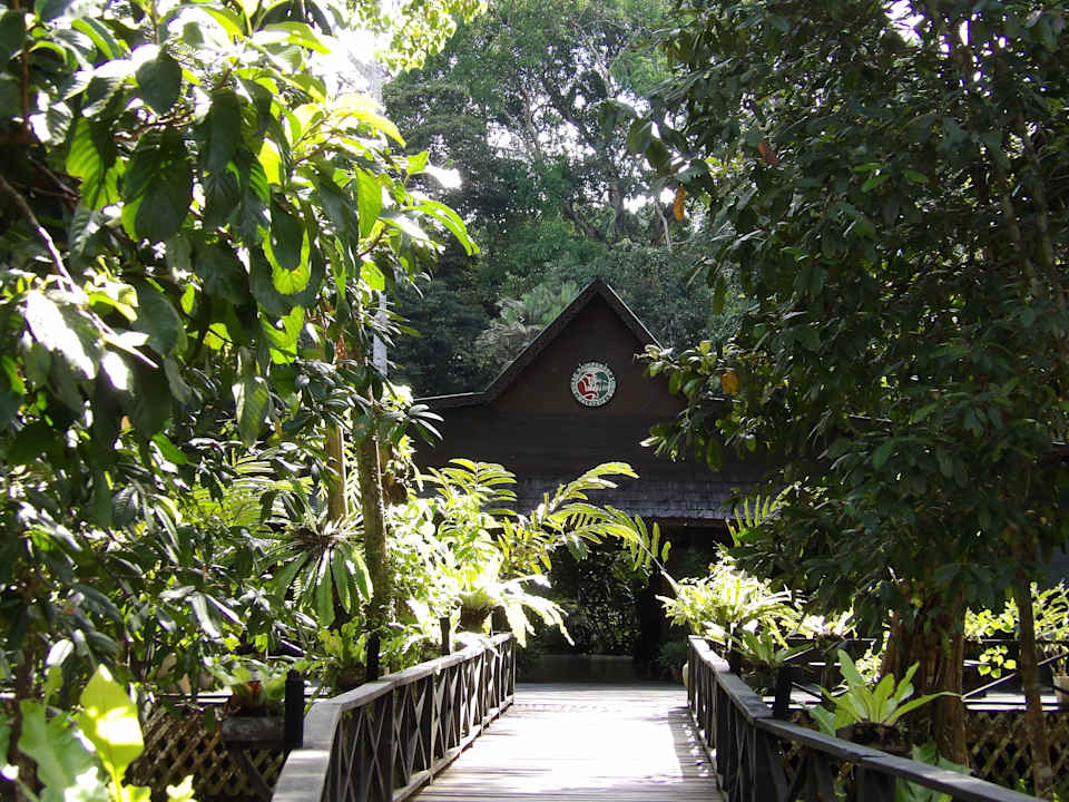 Außenansicht Hotel Sukau Rainforest Lodge