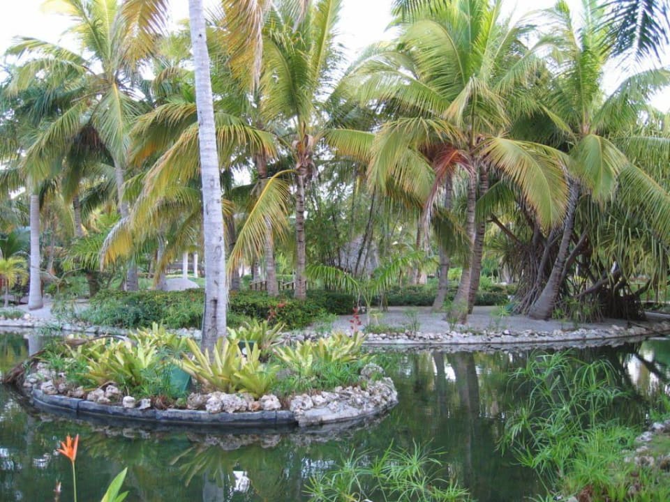 Blick von der Terrasse unserer Suite 2408 Catalonia Punta Cana - All Inclusive