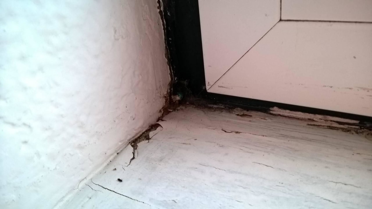 Feuchte und verschimmelte Fensterrahmen Quinta de Sao Tadeu by Casa das Campainhas