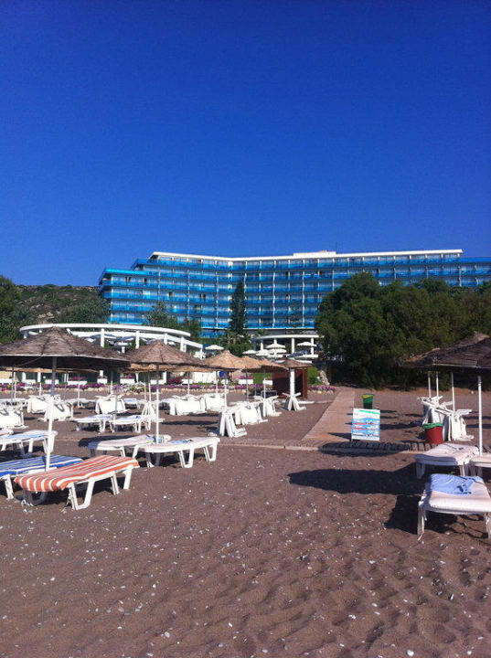 Hotelstrand Hotel Calypso Beach