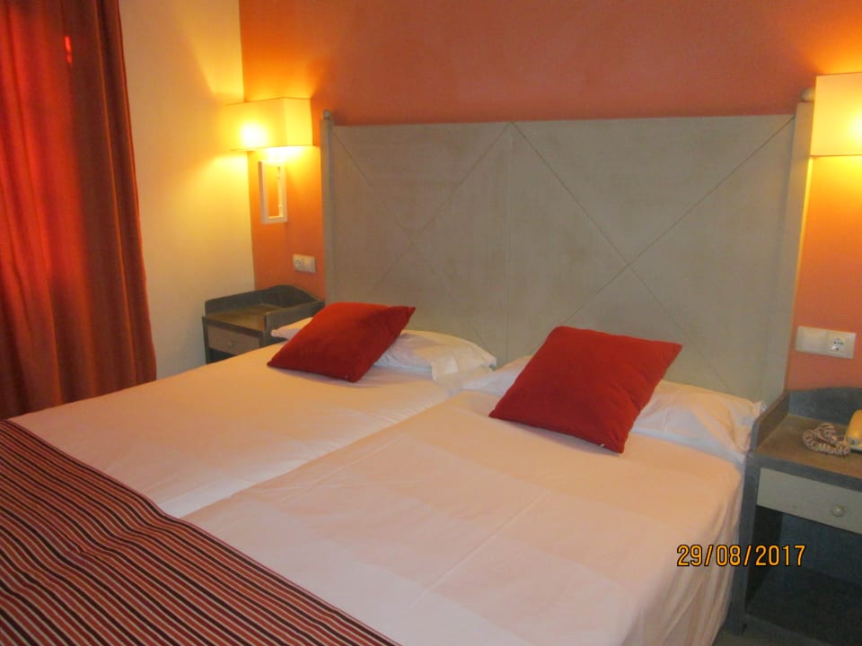 Zimmer allsun App.-Hotel Albatros